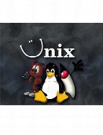 نقاط آسیب پذیر لینوکس و یونیکس