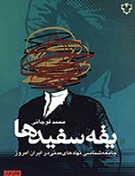 یقه سفیدها, جامعه شناسی نهادهای مدنی در ایران امروز