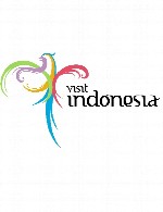 دیدار از اندونزی