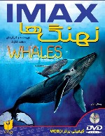 نهنگ ها