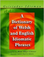Dictionary Of Idiomatic English Phrases