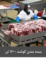 بسته بندی گوشت 1600 تن