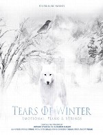 آلبوم « اشک های زمستان » تلفیقی احساسی از پیانو و سازهای زهیSub Pub Music - Tears of Winter (2015)