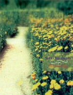 آلبوم « احساسات قلبی » تلفیق زیبای پیانو و سازهای زهیYuhki Kuramoto - Heartstrings (2005)