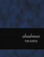 آلبوم « آبندرومن » پیانو امبینت زیبایی از تام ایتنTom Eaton - Abendromen (2016)