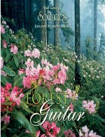 آلبوم « گیتار جنگل » تلفیق ملودی های دلنشین گیتار با صدای طبیعت از دنیل میDan Gibson's & Daniel May - Forest Guitar (2002)
