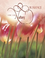 آلبوم « عاشقانه » ترکیبی زیبا از صدای طبیعت با موسیقیVarious Artists - Music and Nature - Romance (2013)