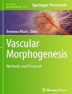 مورفوژنز عروق – روش ها و پروتکل هاVascular Morphogenesis
