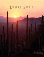 ترکیب فلوت بومیان آمریکا با صداهای طبیعت در آلبوم زیبای « روح کویر »Daniel May & Marianne McAuliffe - Desert Spirit (2009)