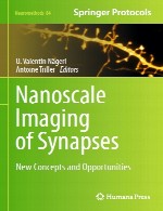 تصویربرداری نانومقیاس سیناپس ها – مفاهیم و فرصت های جدیدNanoscale Imaging of Synapses
