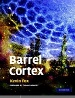 قشر بارل (بارل کورتکس)Barrel Cortex