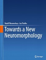 به سوی یک نورور مورفولوژی جدیدTowards a New Neuromorphology