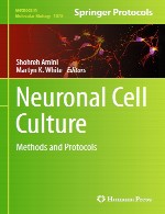 کشت سلولی نورونی – روش ها و پروتکل هاNeuronal Cell Culture
