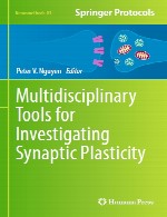 ابزار های چند رشته برای بررسی پلاستیسیته سیناپسیMultidisciplinary Tools for Investigating Synaptic Plasticity