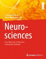 علوم اعصاب – از مولکول تا رفتار – درسنامه دانشگاهیNeurosciences