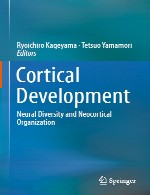 توسعه قشری – تنوع عصبی و سازمان نئوکورتیکالCortical Development
