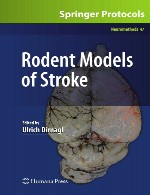 مدل های جونده در سکته مغزیRodent Models of Stroke