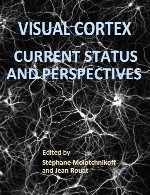 ویژوال کورتکس – وضعیت کنونی و چشم انداز هاVisual Cortex: Current Status and Perspectives