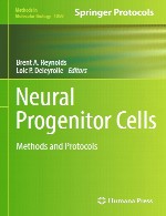 سلول های مولد های عصبی – روش ها و پروتکل هاNeural Progenitor Cells
