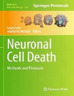 مرگ سلول عصبی – روش ها و پروتکل هاNeuronal Cell Death