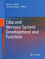 مژه ها و توسعه و عملکرد سیستم عصبیCilia and Nervous System Development and Function