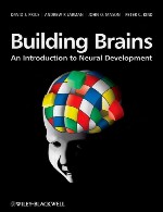ساختمان مغز ها – مقدمه ای بر توسعه عصبیBuilding Brains