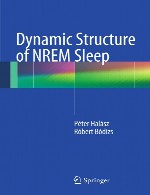 ساختار دینامیکی خواب NREMDynamic Structure of NREM Sleep