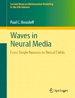امواج در محیط های عصبی – از نورون های منفرد تا میدان های عصبیWaves in Neural Media