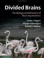 مغز های تقسیم شده – زیست شناسی و رفتار عدم تقارن های مغزDivided Brains