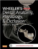 آناتومی، فیزیولوژی و اکلوژن دندانی ویلرWheeler’s Dental Anatomy, Physiology and Occlusion
