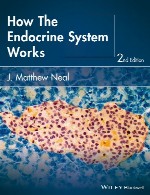 سیستم اندوکرین چگونه کار می کندHow the Endocrine System Works