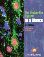 سیستم اندوکرین در یک نگاهThe Endocrine System at a Glance