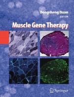 ژن درمانی عضلهMuscle Gene Therapy