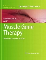 ژن درمانی عضله – روش ها و پروتکل هاMuscle Gene Therapy