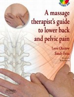 راهنمای ماساژ تراپیست (درمانگر) برای قسمت تحتانی پشت و درد لگنA MASSAGE THERAPIST'S GUIDE TO LOWER BACK AND PELVIC PAIN