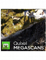 گیوکسل مگ اسکین استدیوQuixel MegaScan Suite 0.863 & Bridge 1.0.2