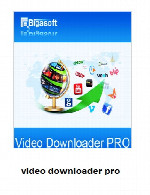 ویدیو دانلودرBigasoft Video Downloader Pro v3.13.7.6249