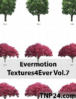 اورموشن تکسچر فور اور 7Evermotion Textures4ever Vol 7