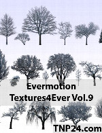 اورموشن تکسچر فور اور 9Evermotion Textures4ever Vol 9