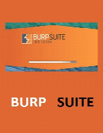 Burp Suite Professional v1.7.12
