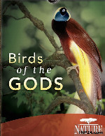 مستند پردنده های خدایانBirds of the Gods 2011
