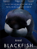 مستند سیاه ماهیBlackfish 2013