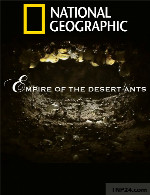 مستند قلمرو مورچه های کویریEmpire of the Desert Ants 2011