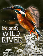 مستند رودخانه های وحشی ایرلندIrelands Wild River 2014