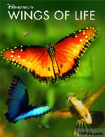 مستند بال های زندگیWings of Life 2011