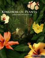 مستند قلمرو گیاهان دوبله فارسیKingdom of Plants 2012