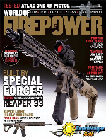 World of Firepower November December 2014