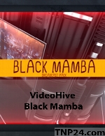 پروژه آماده افترافکت از شرکت ویدیو هایو انواتوVideoHive Envato Black Mamba