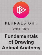 Digital Tutors - Fundamentals of Drawing Animal Anatomy