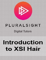 Digital Tutors - Introduction to XSI Hair